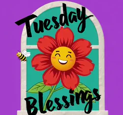 tuesday blessings happy tuesday hello tuesday blessed tuesday aallooz original